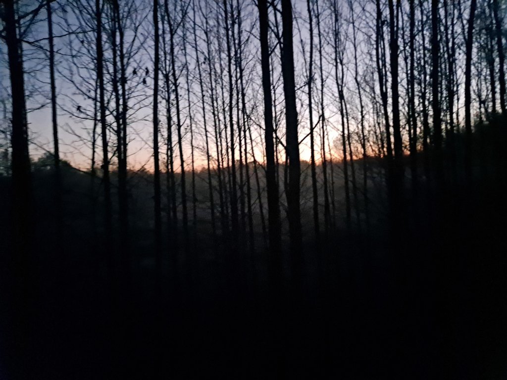 20241116_055836.jpg