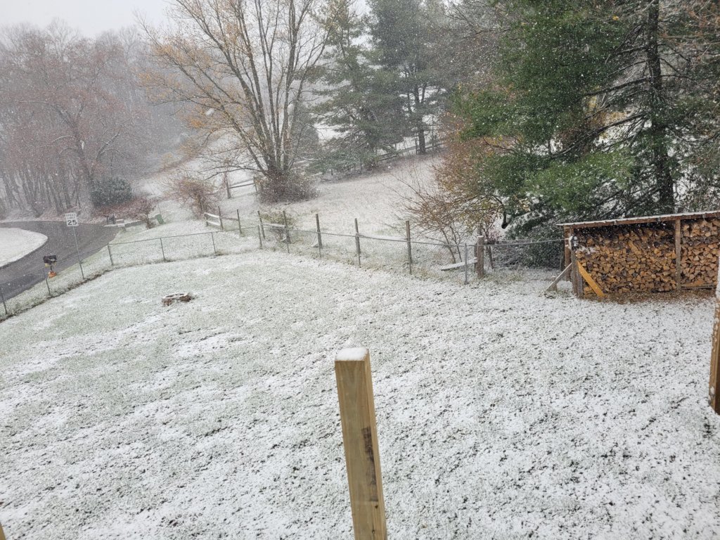20241122_102550.jpg