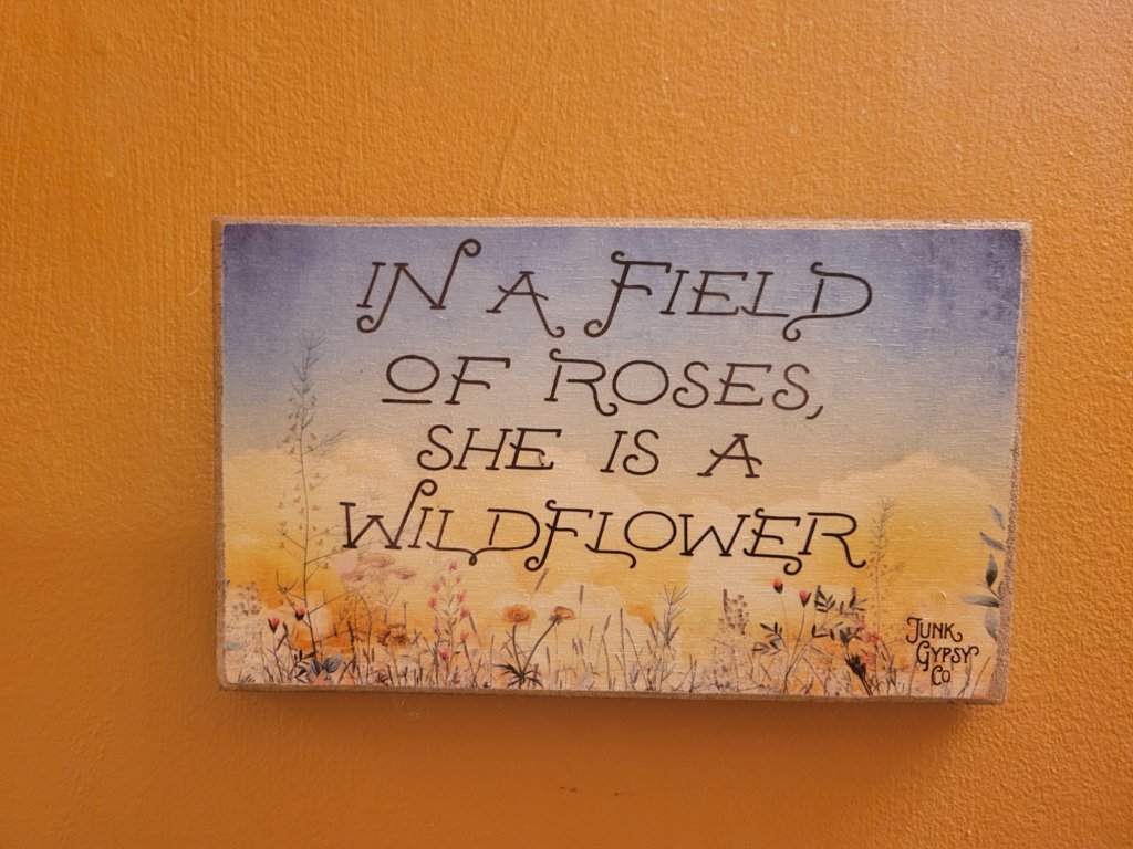 20241124_110625.jpg