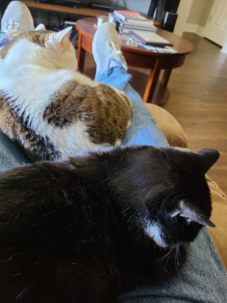 20241124_132051.jpg