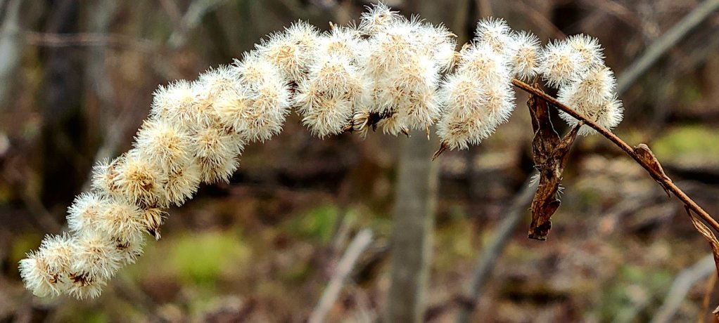 20241124_141858.jpg