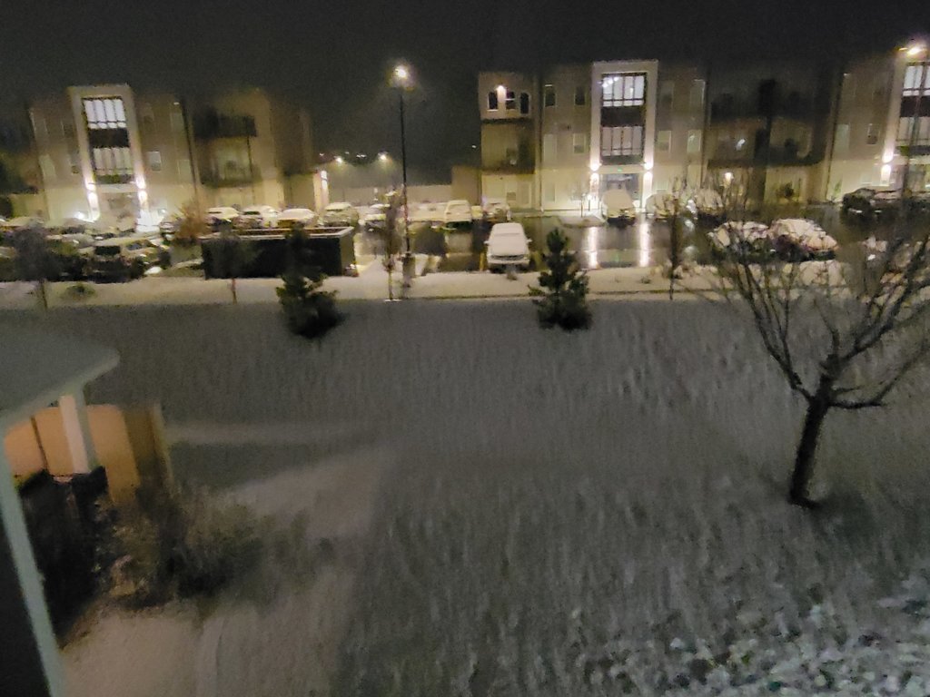 20241126_061203.jpg