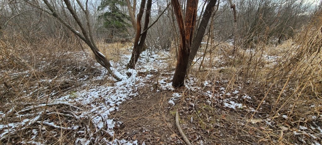 20241126_112857.jpg