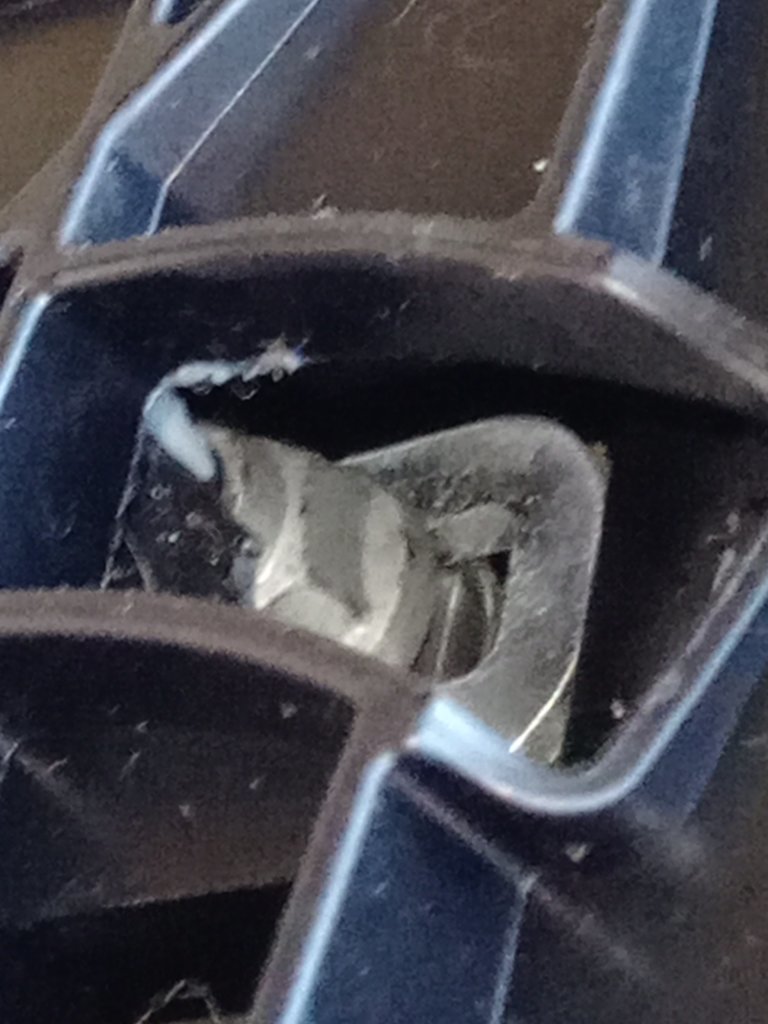 20241129_175638.jpg