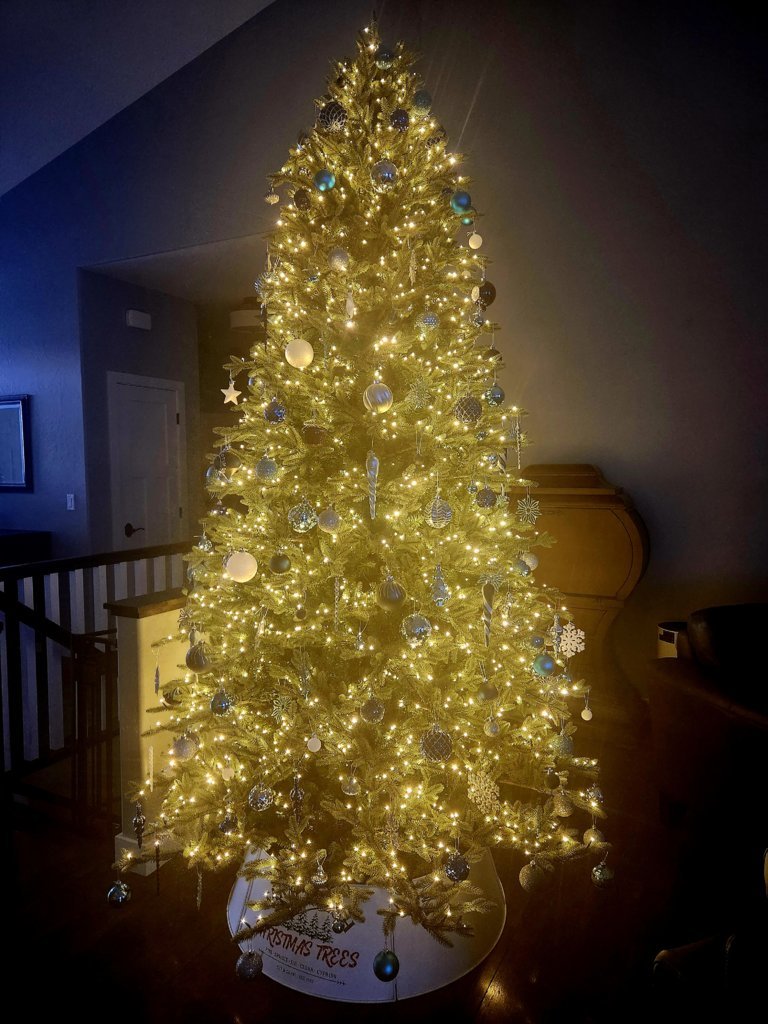 20241130_074510.jpg