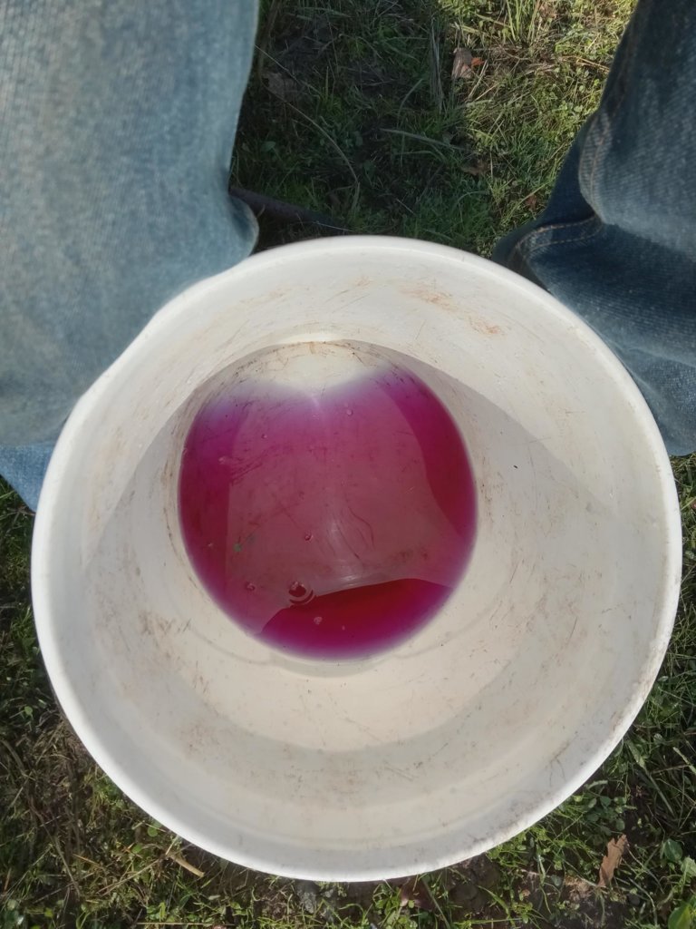 20241130_095219.jpg