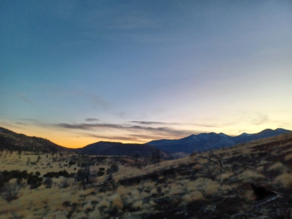 20241130_173231.jpg
