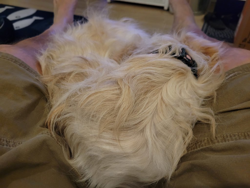 20241205_231208.jpg