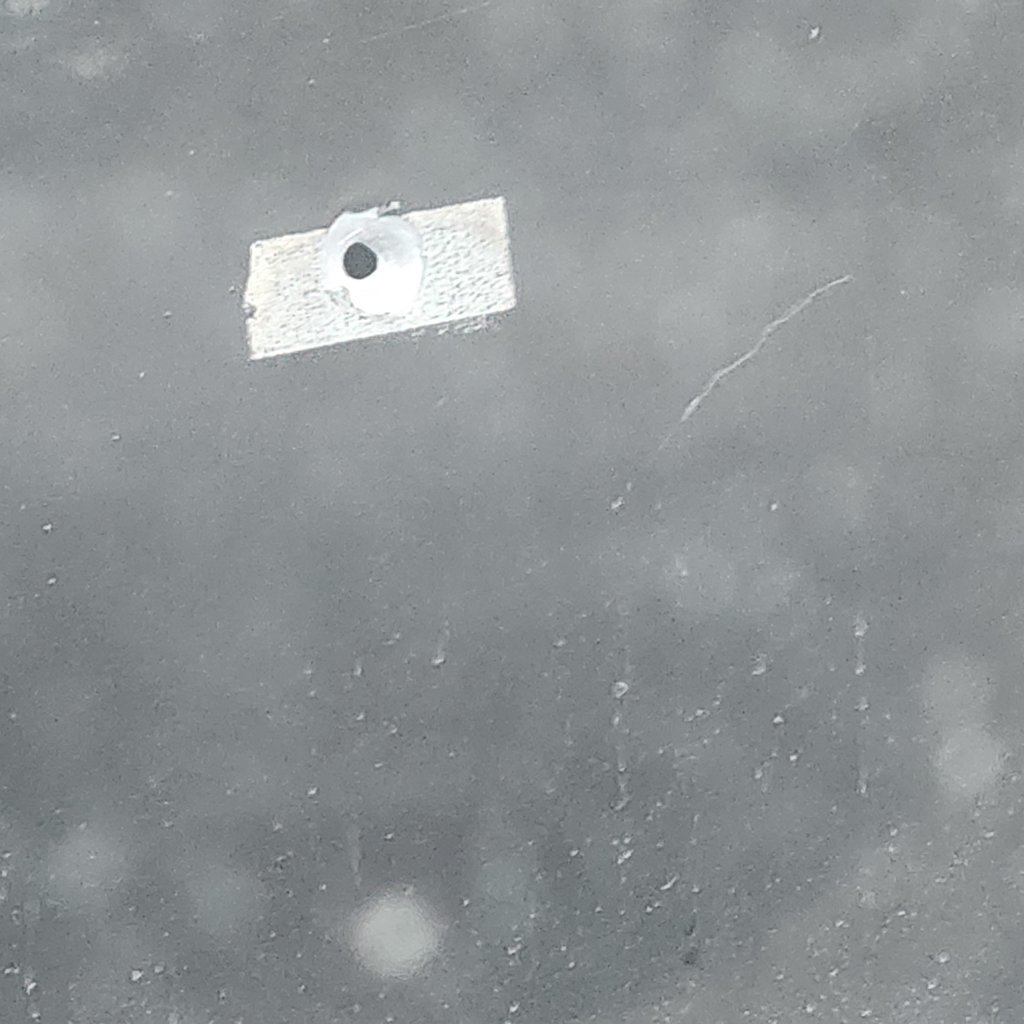 20241213_170703.jpg