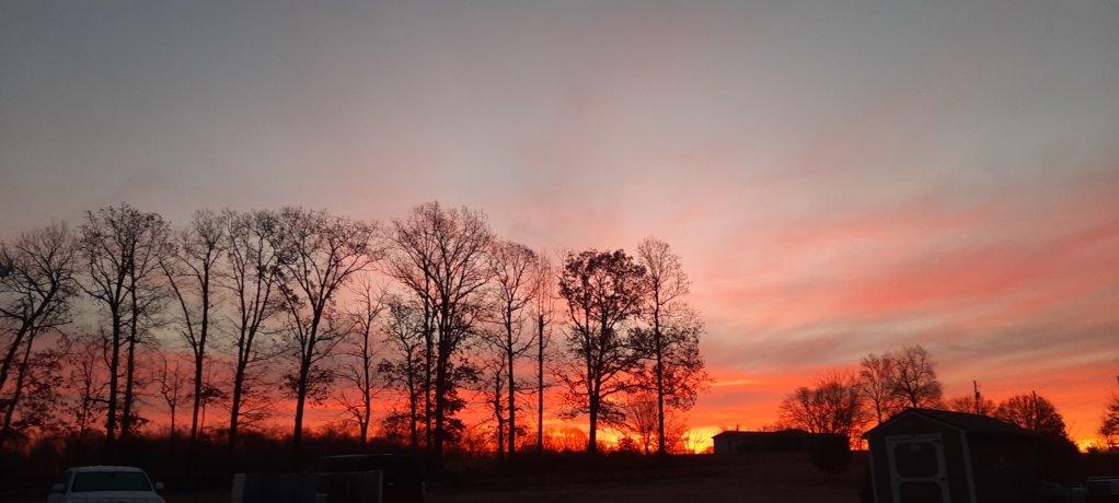 20241214_074024.jpg