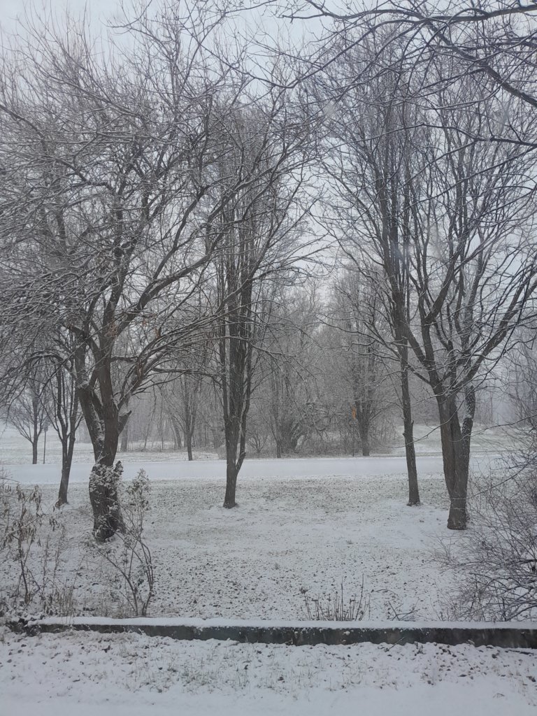20241215_150714.jpg