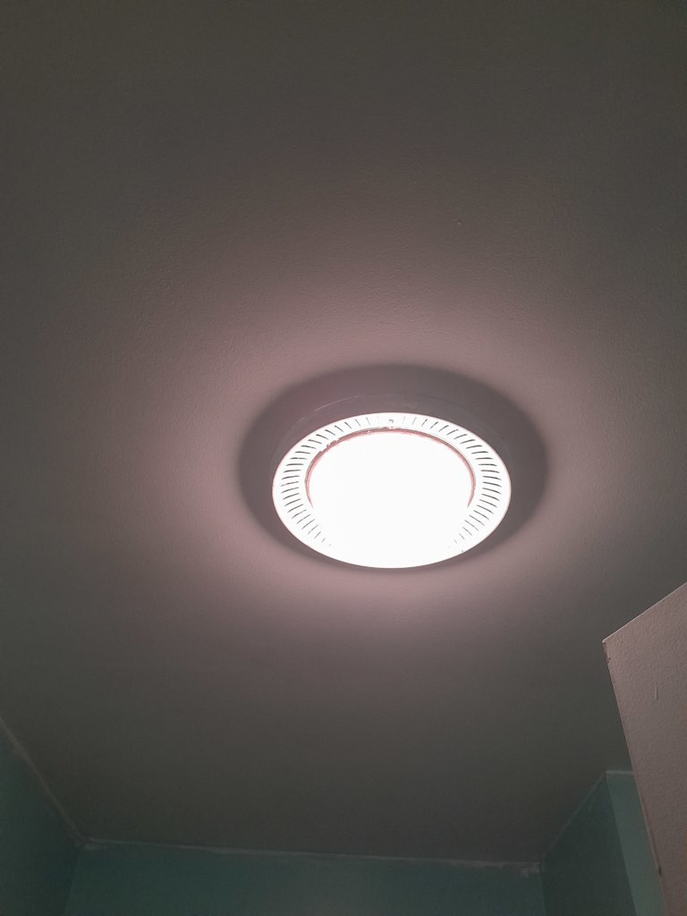 20241216_161149.jpg