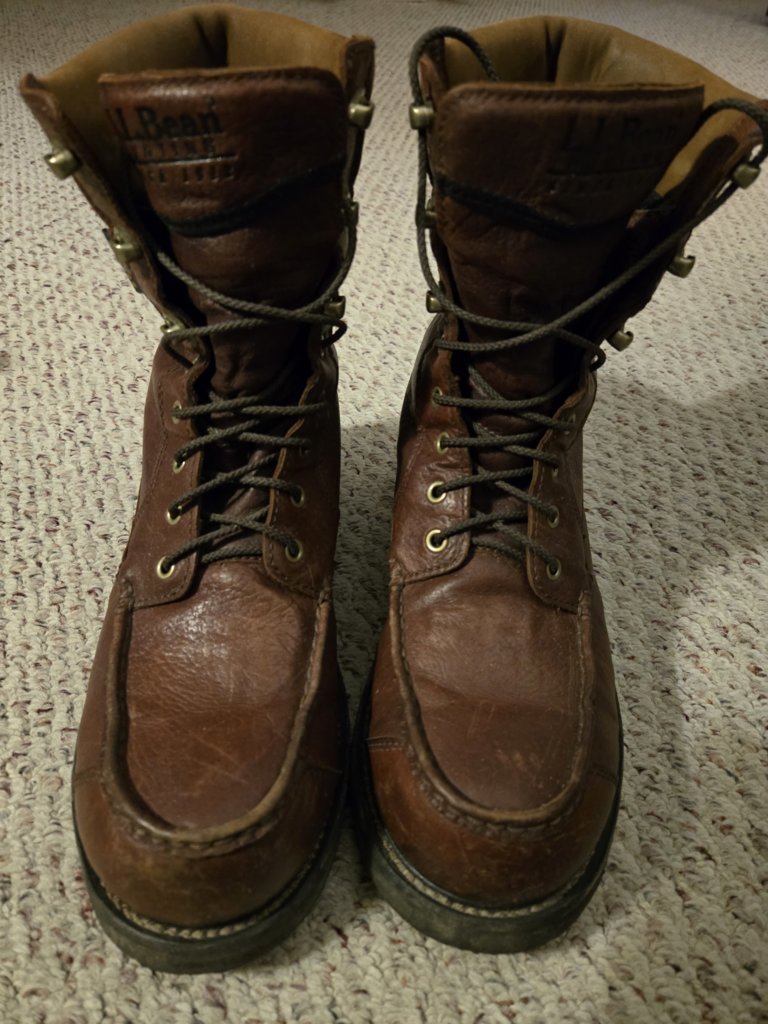 20241222_203141.jpg
