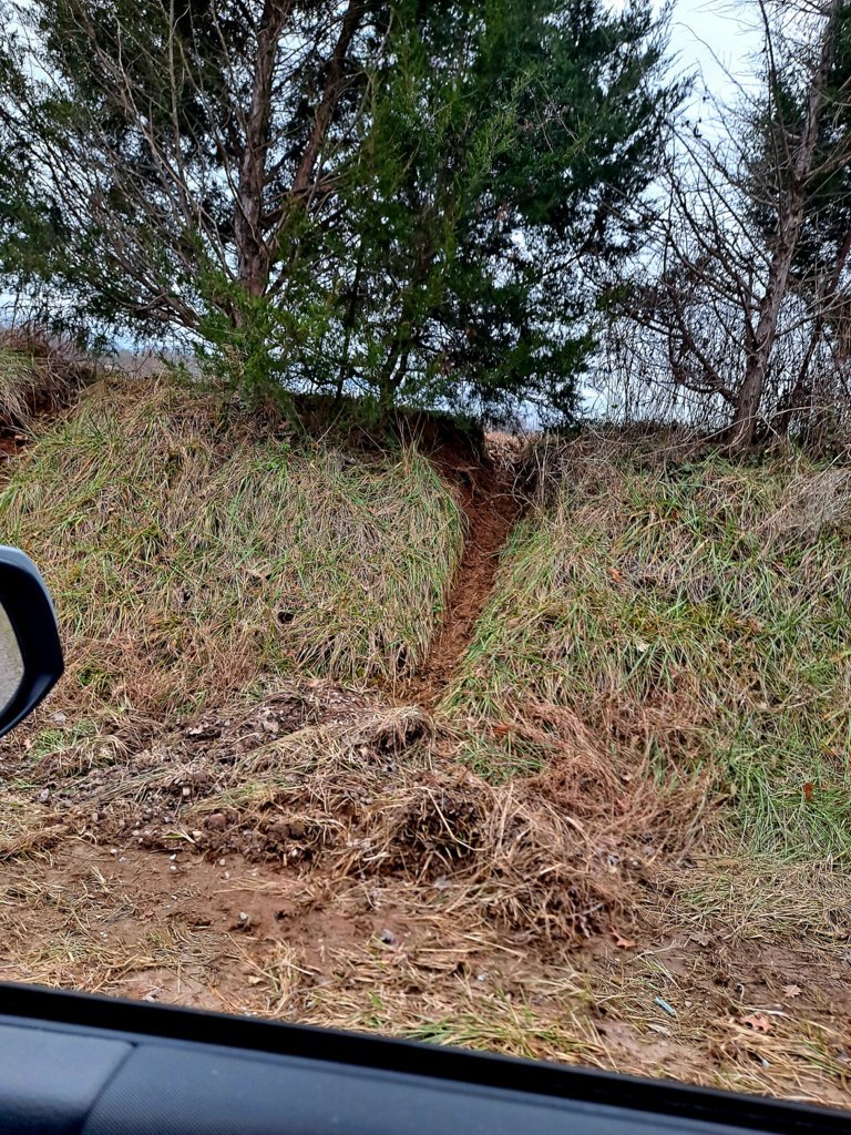 20241223_093544.jpg