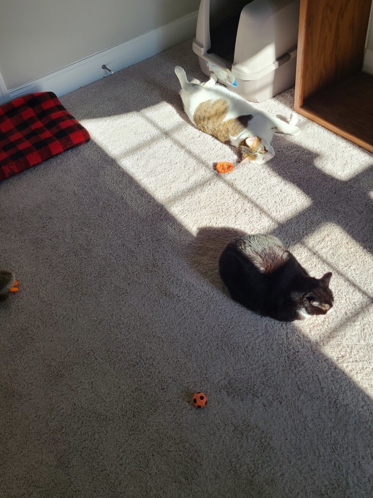 20241223_115704.jpg