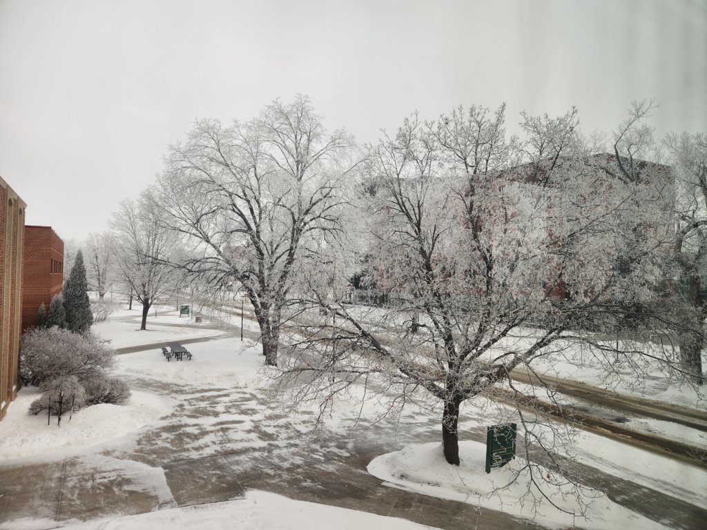 20241224_093939.jpg