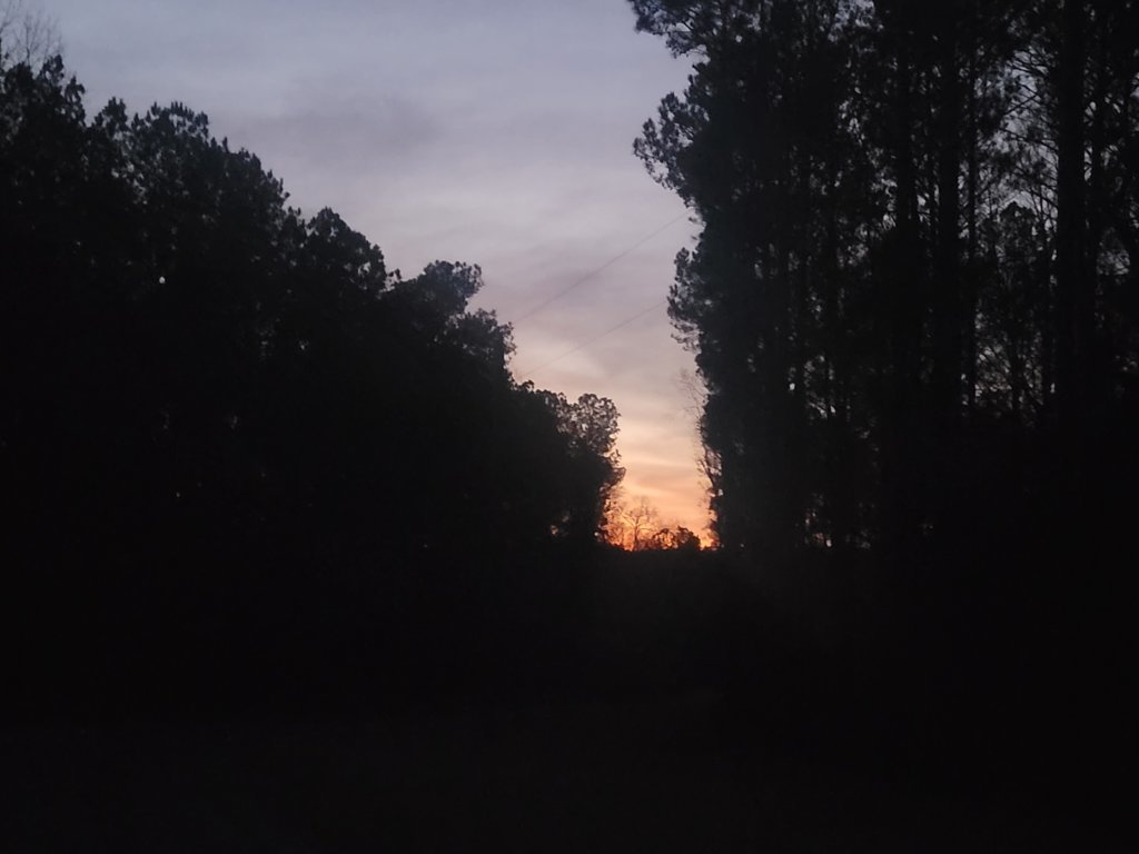 20241225_180815.jpg