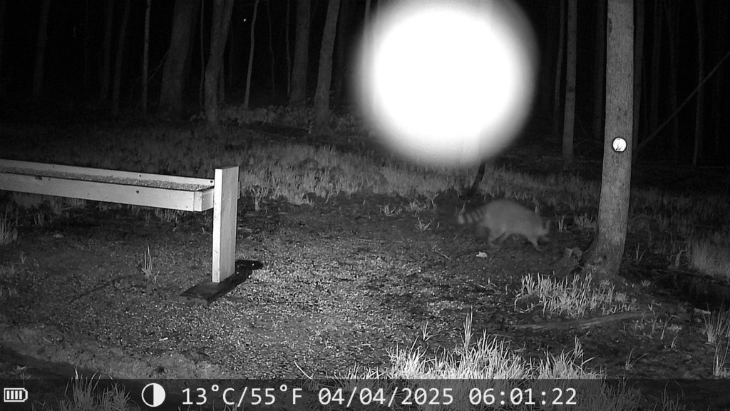 2025-04-06_15.10.14.627_601A1A03.jpg
