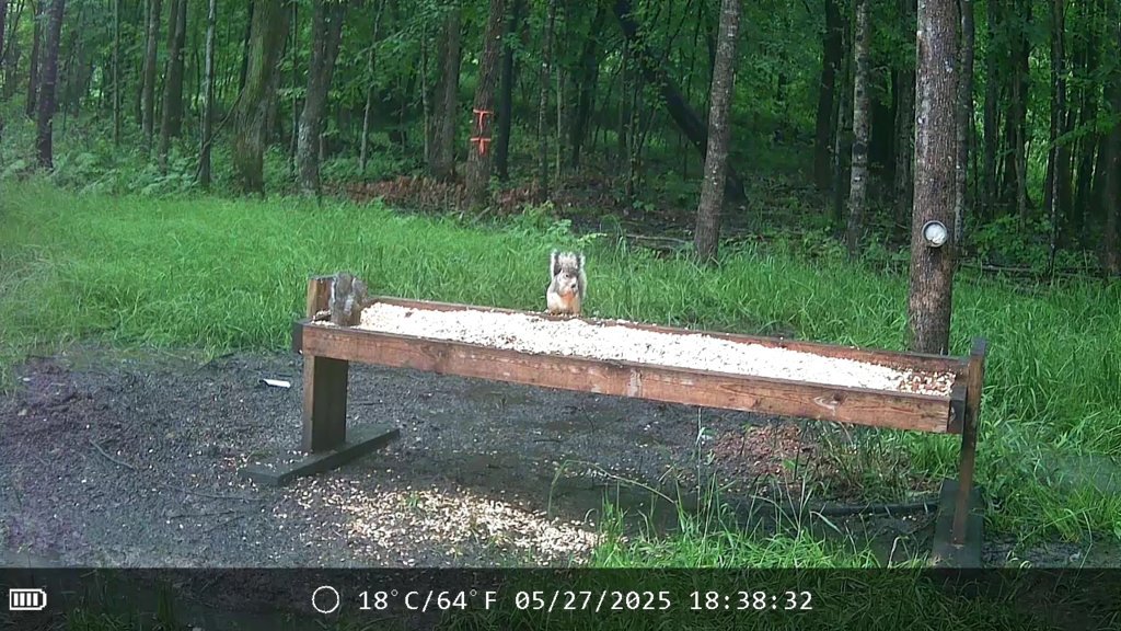 2025-05-27_18.38.35.156.jpg