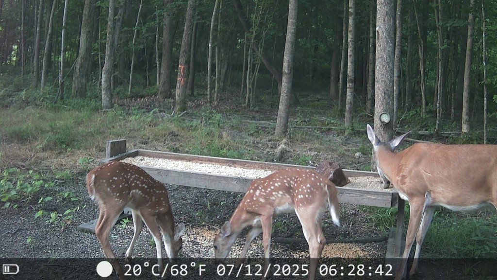 2025-07-12_08.51.18.268_9023C307.jpg