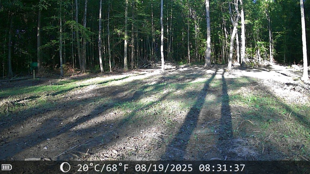 2025-08-19_16.39.46.648_2AEBB83E.jpg