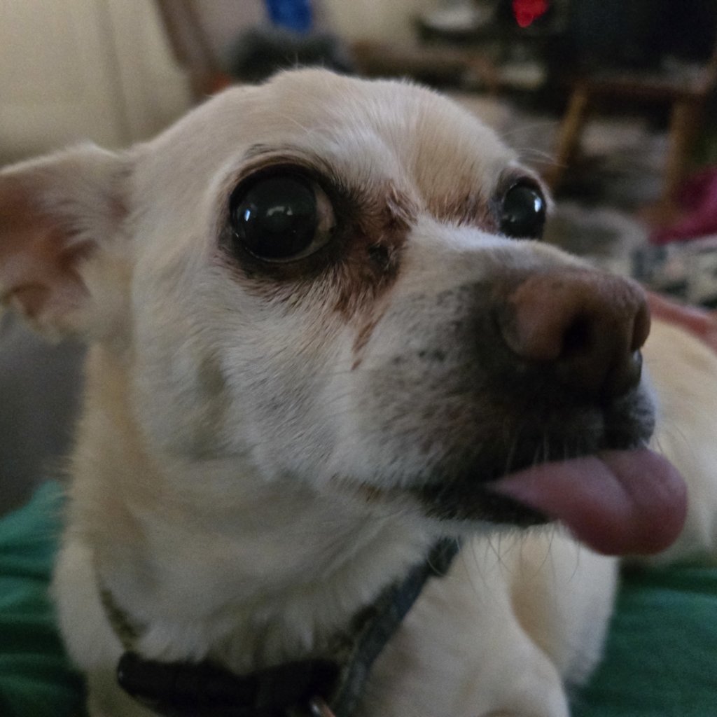 20250101_091235.jpg