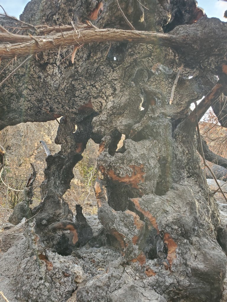 20250101_160657.jpg