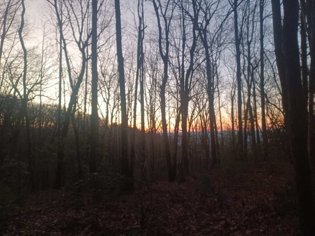 20250104_072853.jpg
