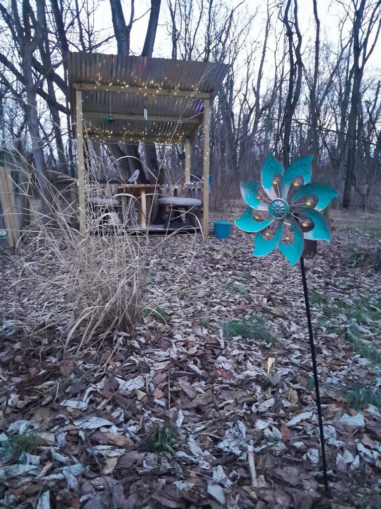 20250105_171703.jpg