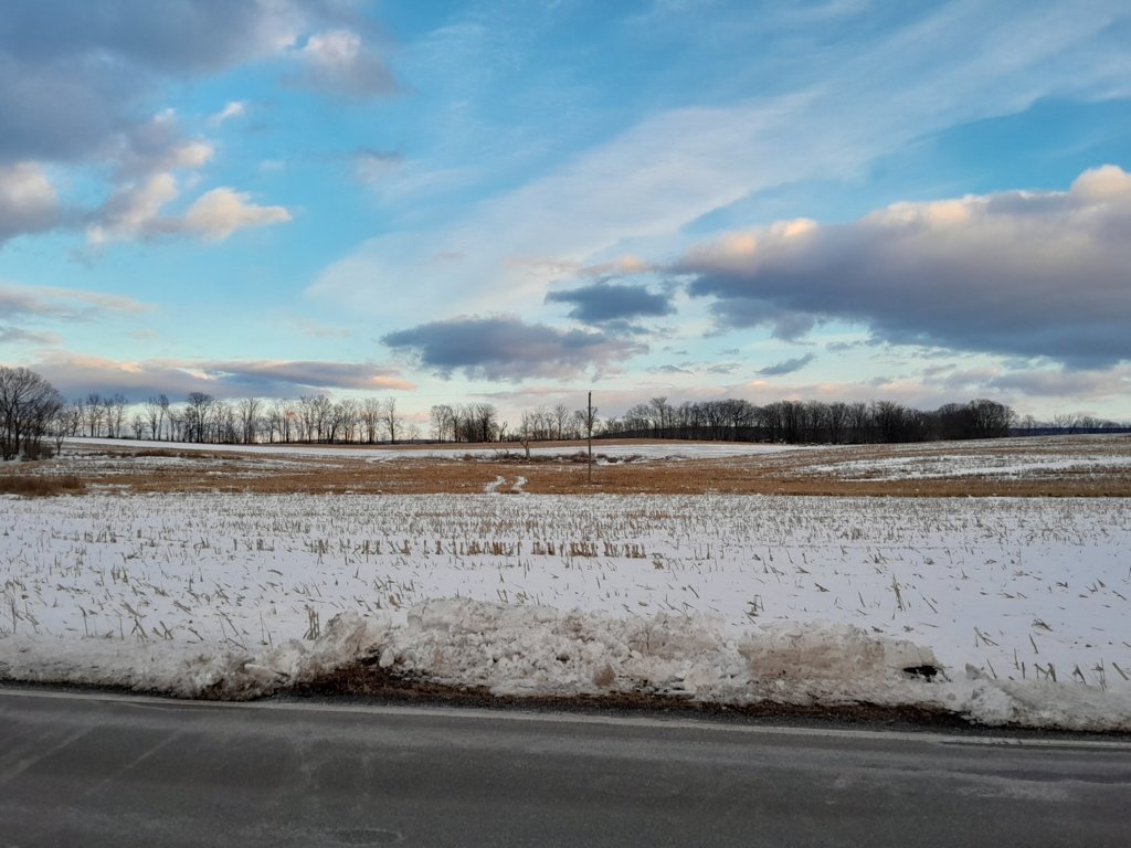 20250108_164104.jpg