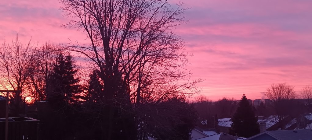 20250110_073739.jpg
