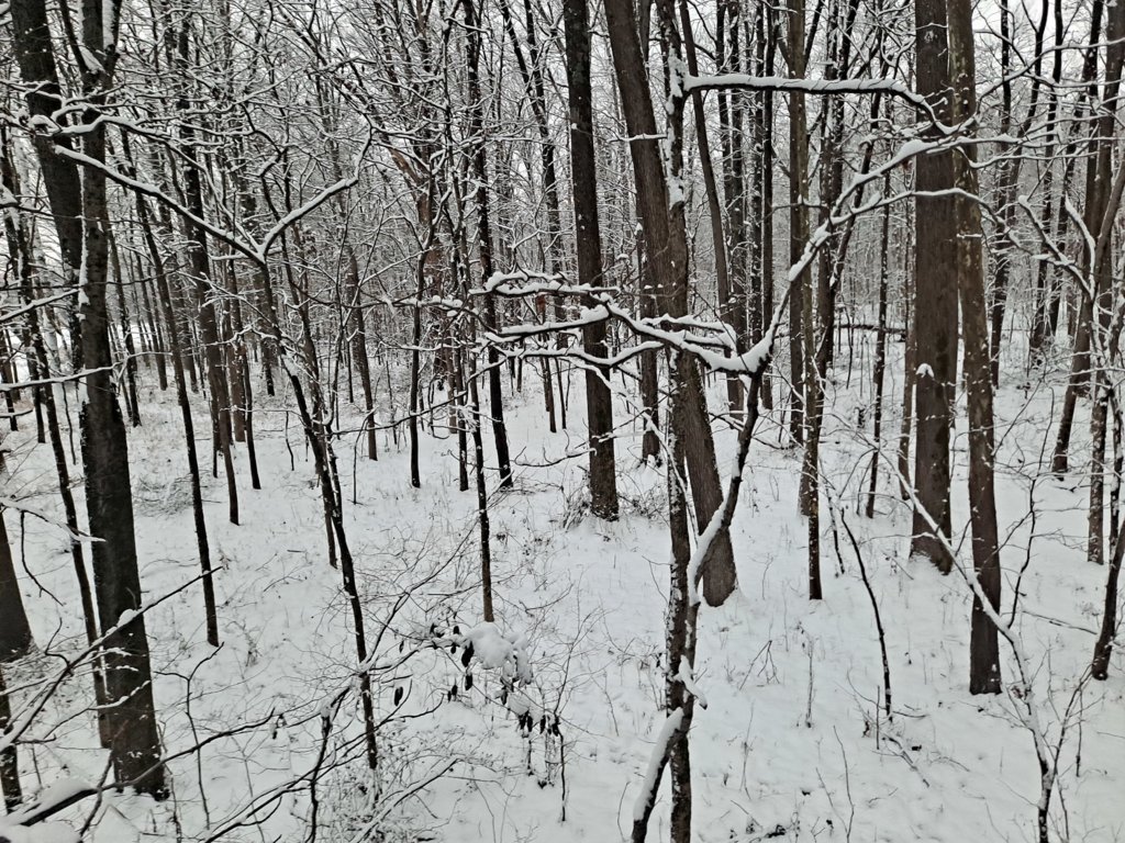 20250111_071036.jpg