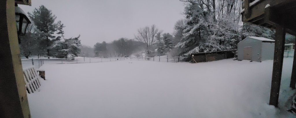 20250119_172429.jpg
