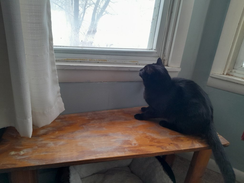 20250120_083600.jpg