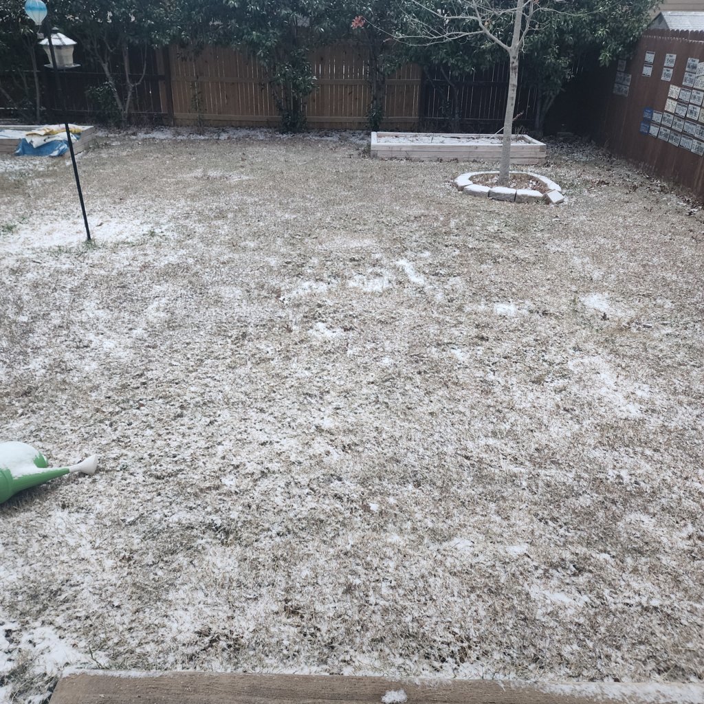 20250121_074231.jpg