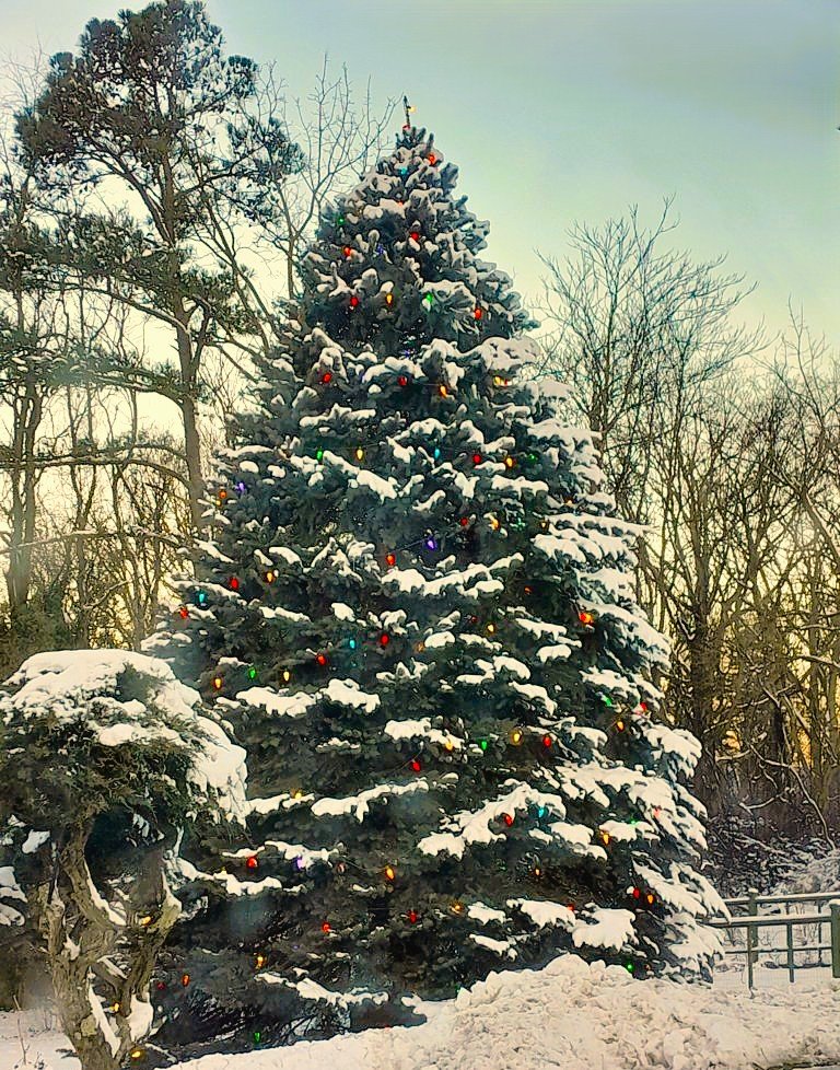20250122_080644.jpg