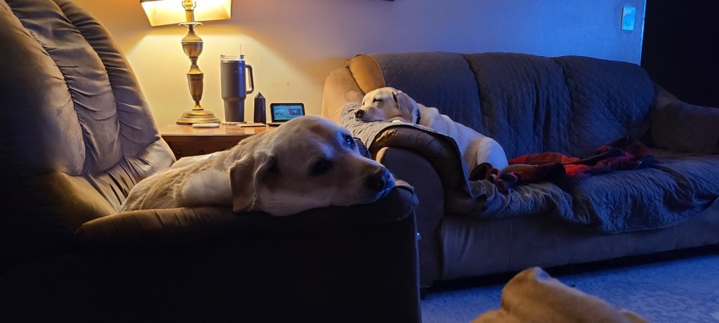20250124_183207.jpg
