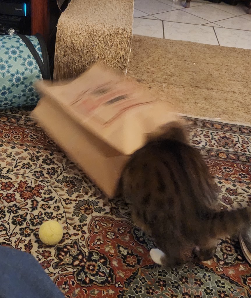 20250125_211029.jpg
