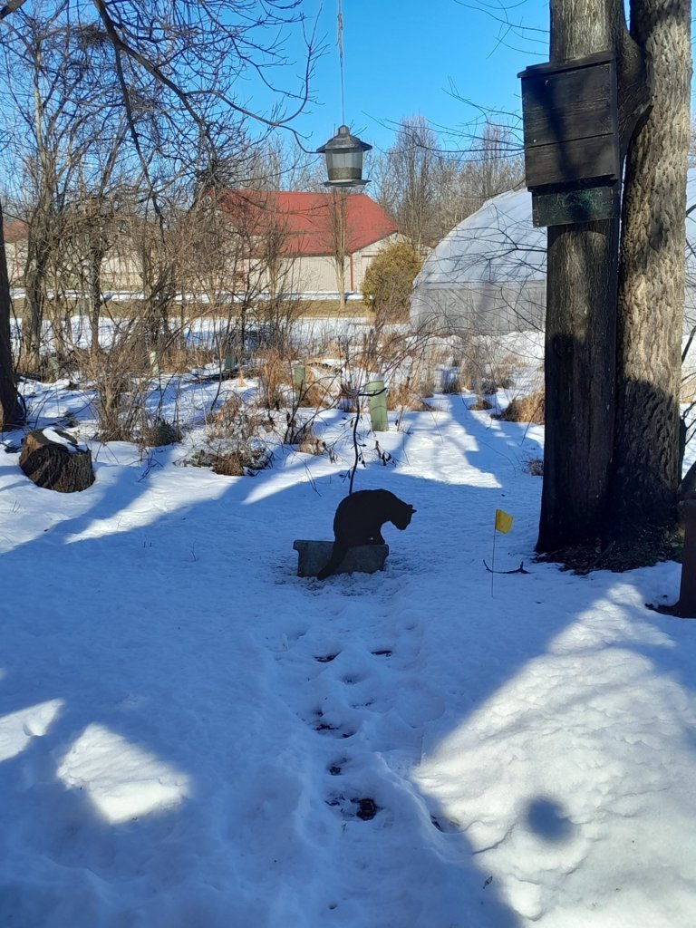 20250127_110004.jpg