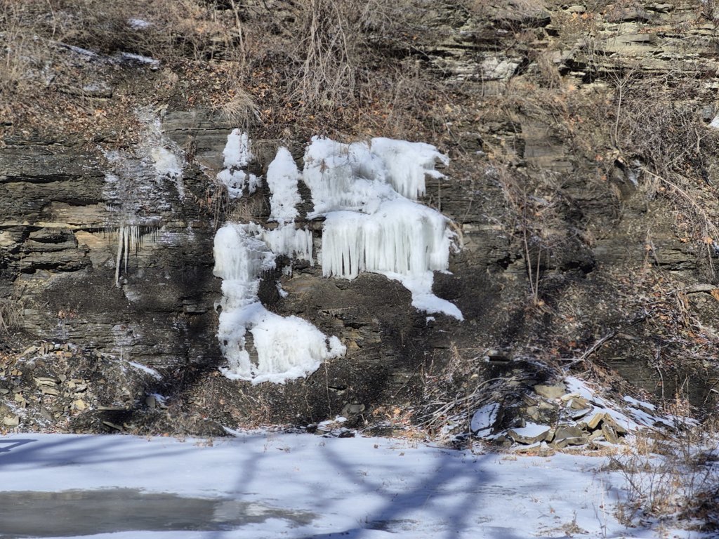 20250201_105311.jpg