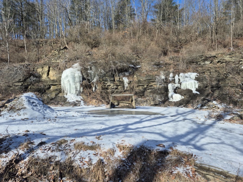 20250201_105344.jpg