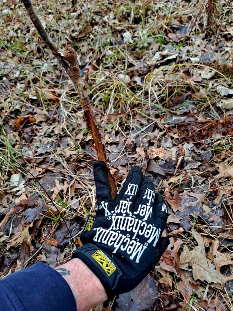 20250207_115010.jpg