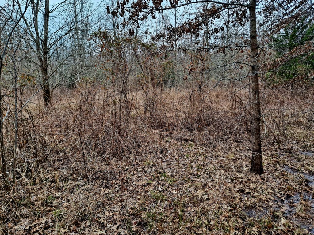 20250207_115415.jpg