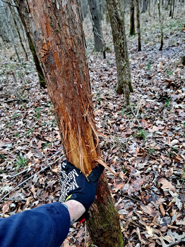 20250207_121652.jpg