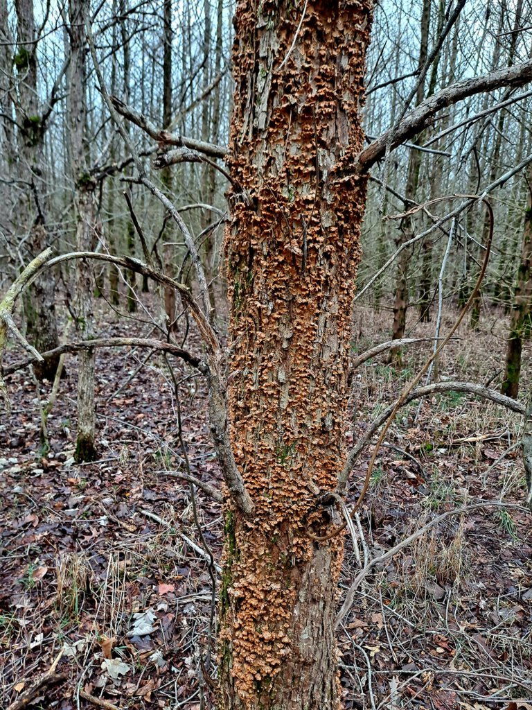 20250207_121736.jpg