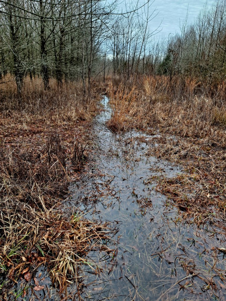 20250207_122055.jpg