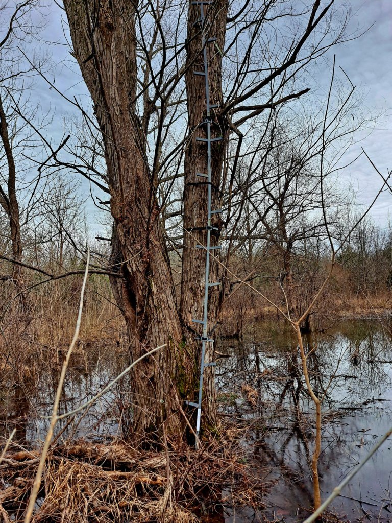 20250207_122554.jpg