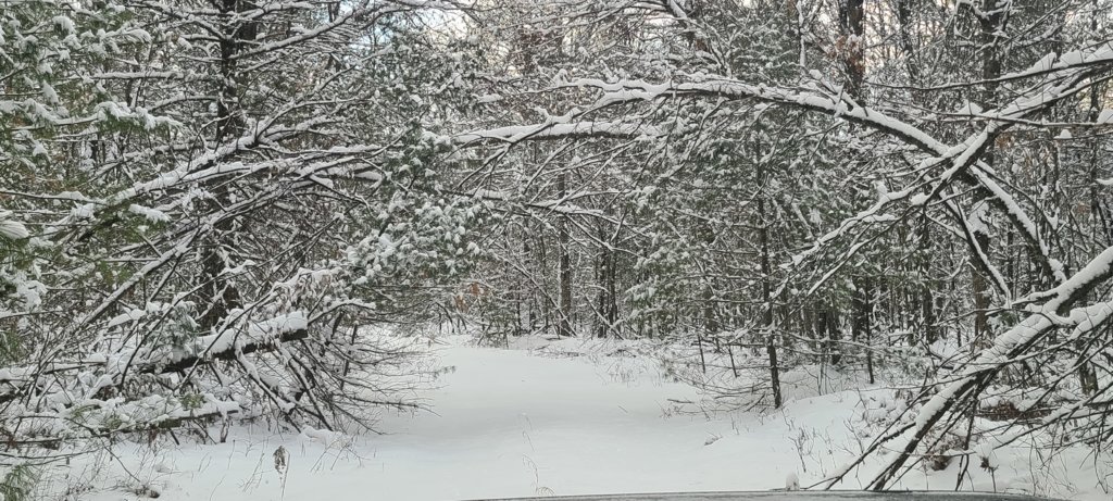 20250208_161940.jpg