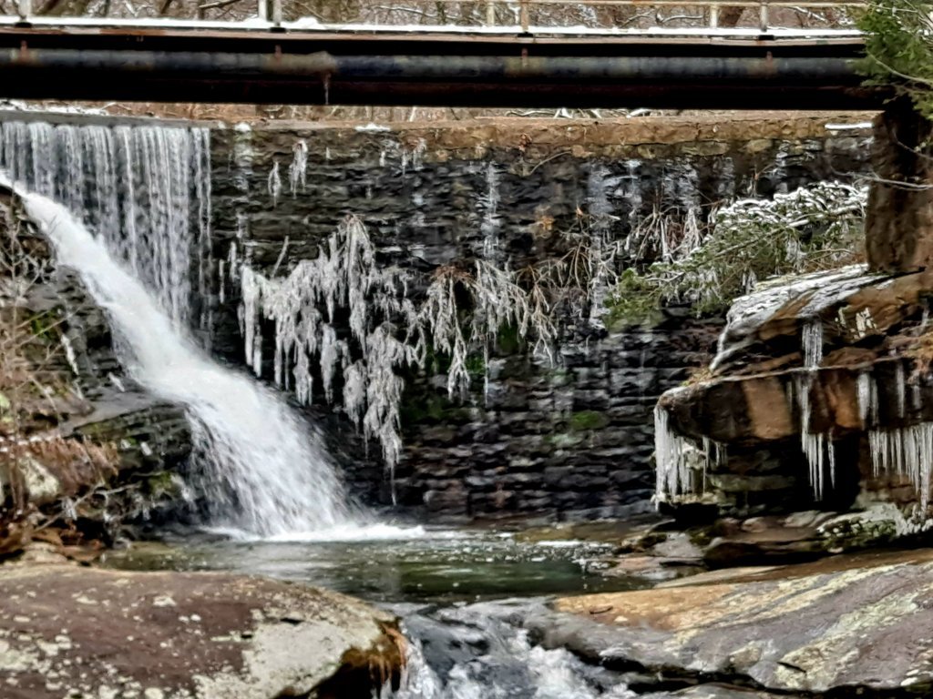20250217_162000.jpg