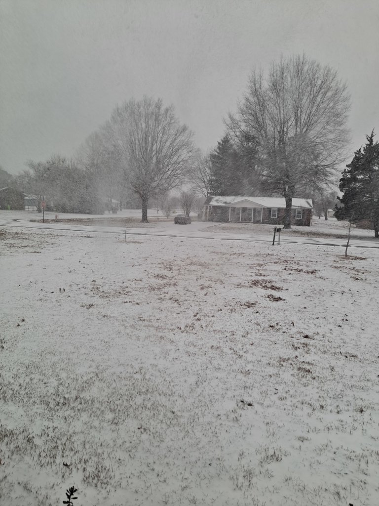 20250218_170159.jpg